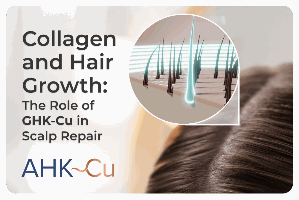 Collagen and Hair Growth